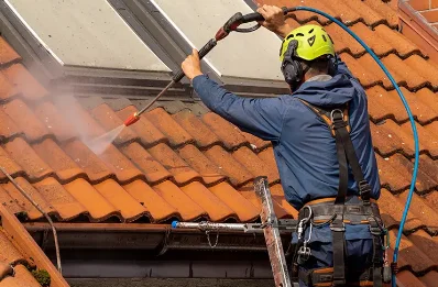 Démoussage et hydrofuge de toiture à Treffort